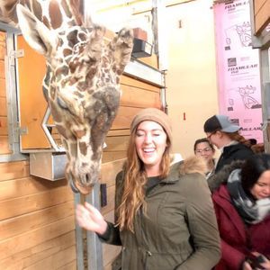 Meet your Posher, Allie